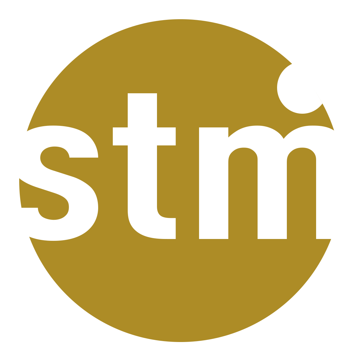 STM Architekten Logo
